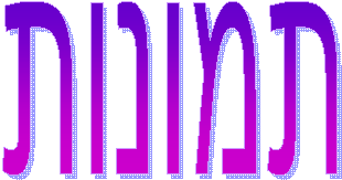 v:shapes="_x0000_s1025"